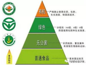 政策重磅！決定農(nóng)化行業(yè)未來(lái)十年走向的國(guó)家級(jí)政策與人工智能雙創(chuàng)服務(wù)平臺(tái)