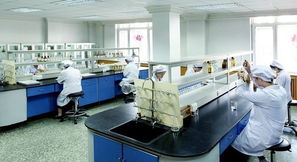 豪華賽皇宮，藥價為何高？——透視哈藥六廠事件中的網(wǎng)絡(luò)技術(shù)與輿論影響